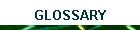 GLOSSARY