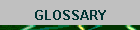 GLOSSARY